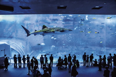 美ら海水族館