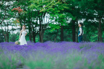 羊ヶ丘展望台フォトプラン 写真2